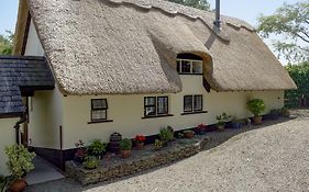 The Cottage